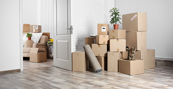 Move In and Move Out Cleaning